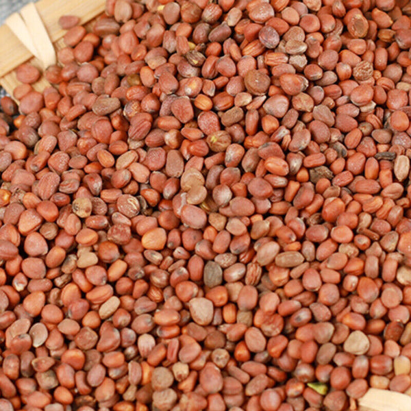 500g Radish Seeds Natural Organic High Quality Healthy Herbal Tea Luobizi 萝卜子