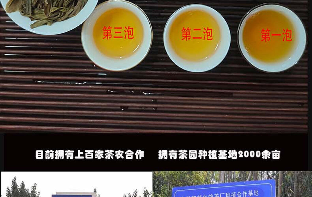 Yunnan Tea Iceland Laozhai First Spring Reserve Pu'er Raw Tea 357g Cake Tea