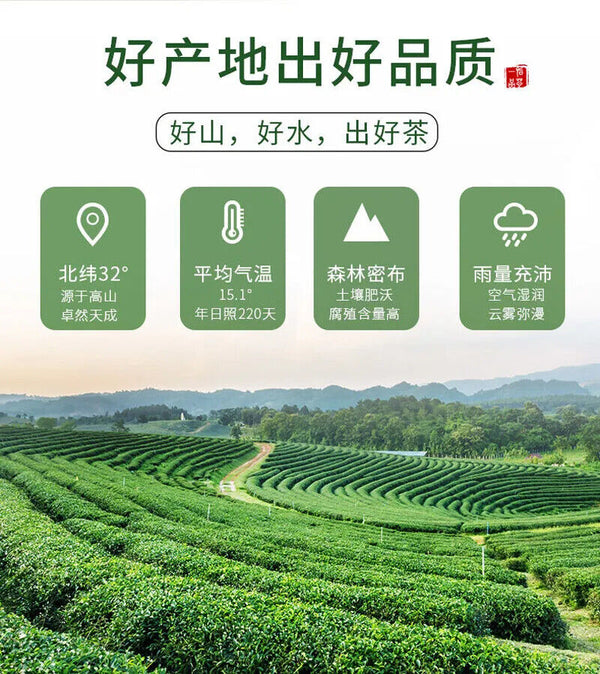 New Maojian Tea Green Tea Strong Flavor 100g Can