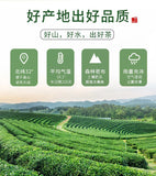 New Maojian Tea Green Tea Strong Flavor 100g Can