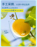 Lemon Slices Fruit Tea Dried Lemon Slices Vitamin C Supplement Lemon Tea 125g