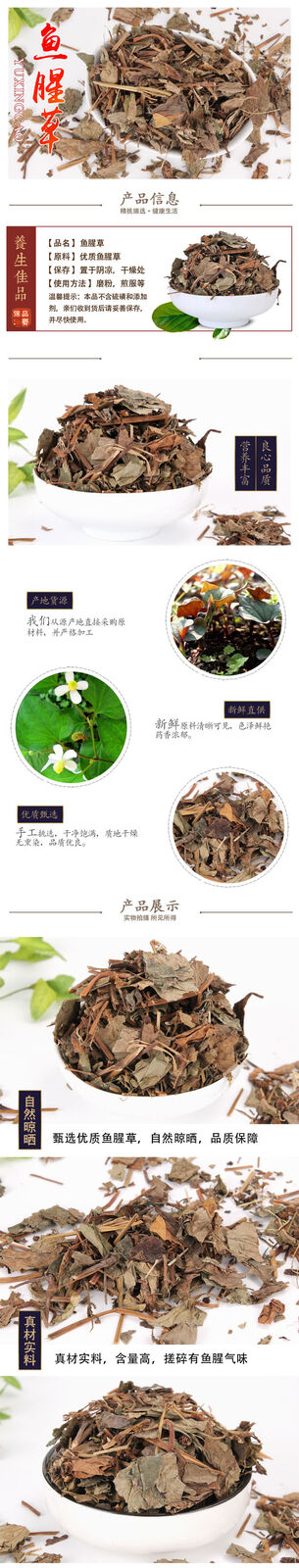 Fishweed Tea Large stock Folded Ear Root Fishweed Dried Chinese Herbs 500g/1.1lb