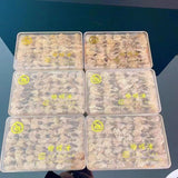 Huile de crapaud Huile de fil de grenouille des neiges Grenouille des forêts 50g