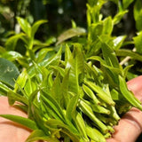 Yunnan Ancient Tree Raw Pu-erh Tea Natural Sheng High Mountain Loose Leaf