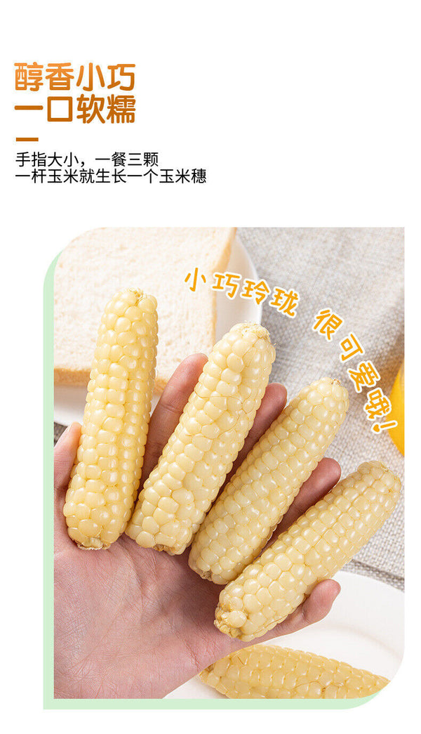 Yunnan Thumb Corn Gift Box – Sweet & Glutinous Treats for Gifting