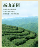 2025 Biluochun Green Tea Premium Loose Leaf Mountain Fresh