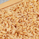 Selected High-quality Healthy Herbal Wheat Original Health Herbal Tea 500g/1.1LB