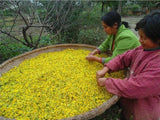 100g Chrysanthemum | Wild Harvest | Wild Chrysanthemum | Ju Hua