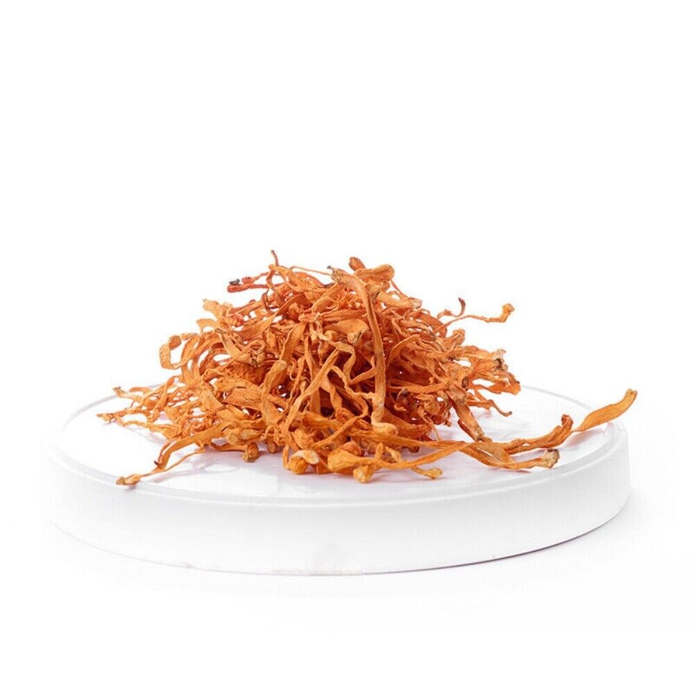 Cordyceps Militaris Flower 50-500g Chinese Herbal Premium Natural Specialty