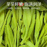 2025 Fresh Longjing Green Tea Rich Aroma Zhejiang Origin Durable Brew