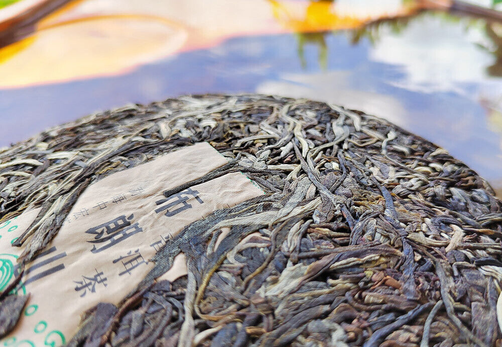 Yunnan Menghai Pu'er Tea Brown Mountain Early Spring Arbor Pu'er Raw Tea Cake
