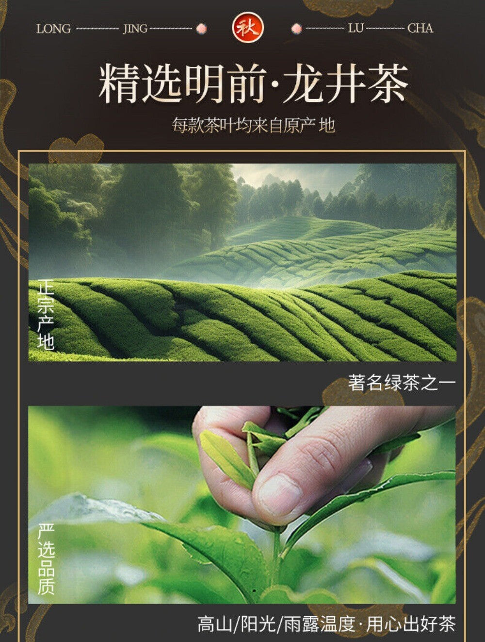2025 Mingqian Longjing Green Tea Spring Harvest Premium Gift Box Small Can