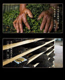 Yiwu Wangzishan Raw Puerh Cake 357g 7pc Yunnan Sheng Cha Premium