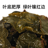 Authentic Nantou High Mountain Dong Ding Oolong Tea Da Yu Ling2024 New Fresh Tea