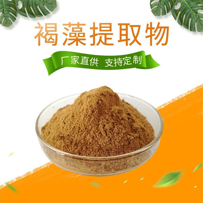 100g Brown Algae Extract Powder 20:1 | Seaweed Derived | Water Soluble| Vegan Secondary image