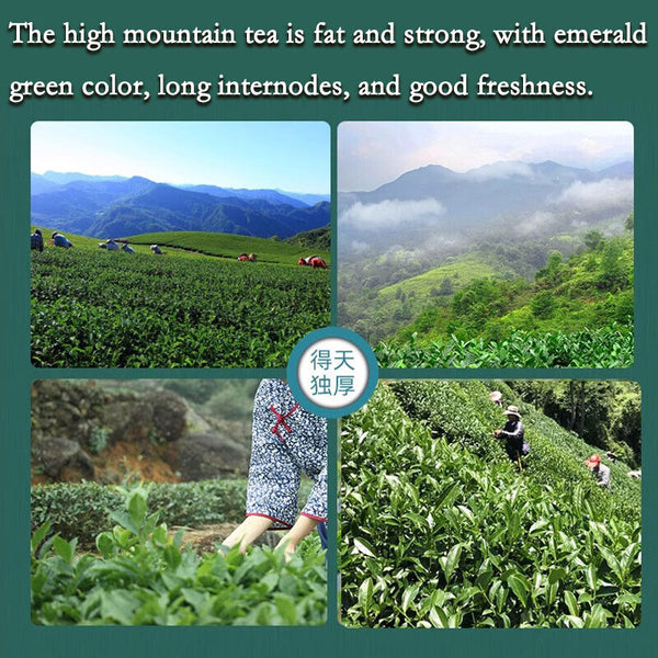 Milk Oolong Tea Original Good Tea Natural Organic Oolong Tea No Additives