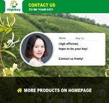 Chinese Tea Balls Tea Jasmine Flower Pearls Jasmine White Dragon Pearl 250g