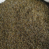 Cassia Seeds Fried Cassia Seeds Tea Infusion Cassia Seed