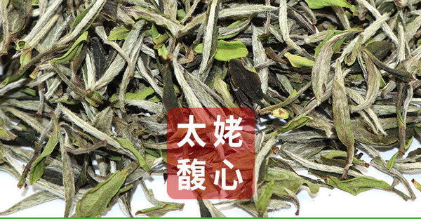 500g Fuding white tea white peony king loose tea Panxi Ming Qian tea