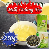 Milk Oolong Tea Jinxuan Oolong Tea Milk Fragrance Oolong Tea Taiwan HighMountain