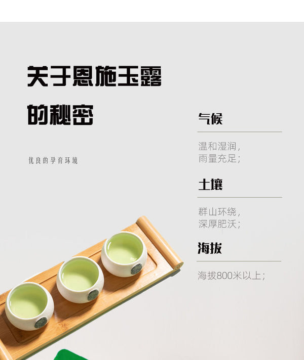 Strong aroma Enshi Yulu tea pre-bright green tea buds alpine cloud tea 250g
