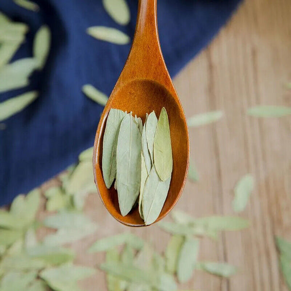 SENNA LEAVES Tea NATURAL Leaf PURE Dried Herb 100% Premium Herbal Teas FREE POST