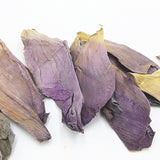 dried lotus flower petals lotus flower lotus dried lotus flower pieces 17.6oz