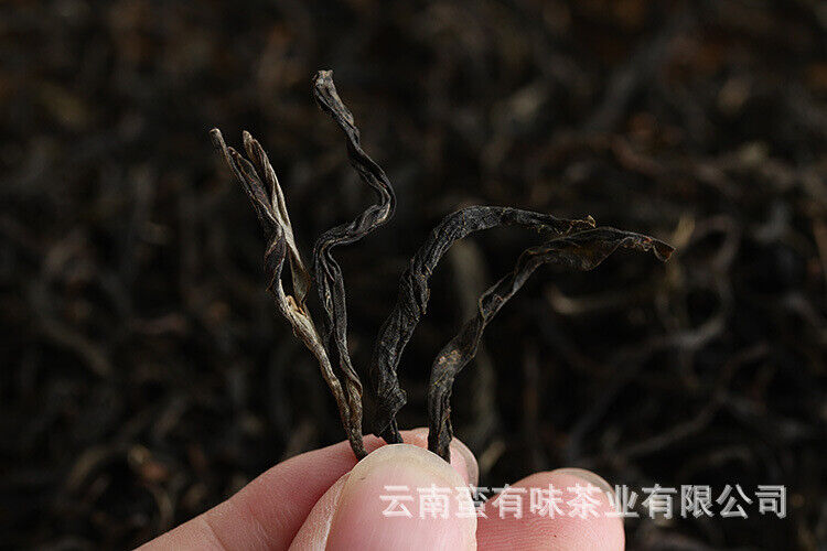 500g Loose Tea Yunnan Puerh Tea Menghai Qiao Mu Raw Tea (No.1 PN) Big Tree Tea