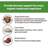 Coffee Tea Espresso Supplies Healthcare Supplement Mushroom Coffee Blend