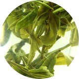 250g / 8.8oz Premium Xihu Longjing Dragon Well Dragonwell Spring Green Tea Loose