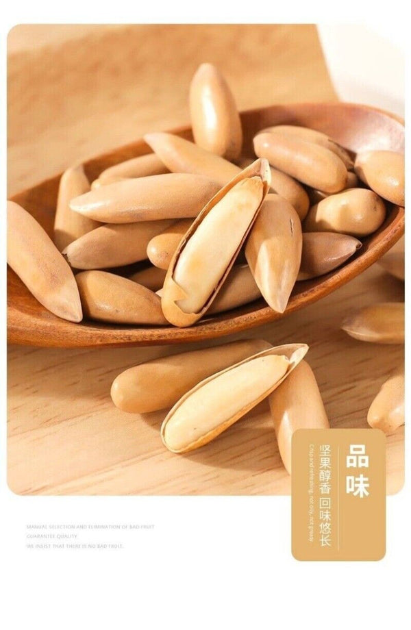 2024 Harvest Premium Pine Nuts Jumbo Size Healthy Natural Handpicked Snack