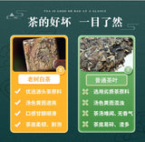 Premium Pu-erh Ancient Tree Honey Aroma Sweet Aftertaste Large Leaf Raw WhiteTea