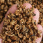 500g Yunnan black tea Fengqing Dian Hong Jin Luo (No. 2) early spring tea