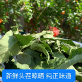 250g/ 500g Sun Dried Toon Leaves Toon Tea Fresh Leaves Dried Toon Leaves