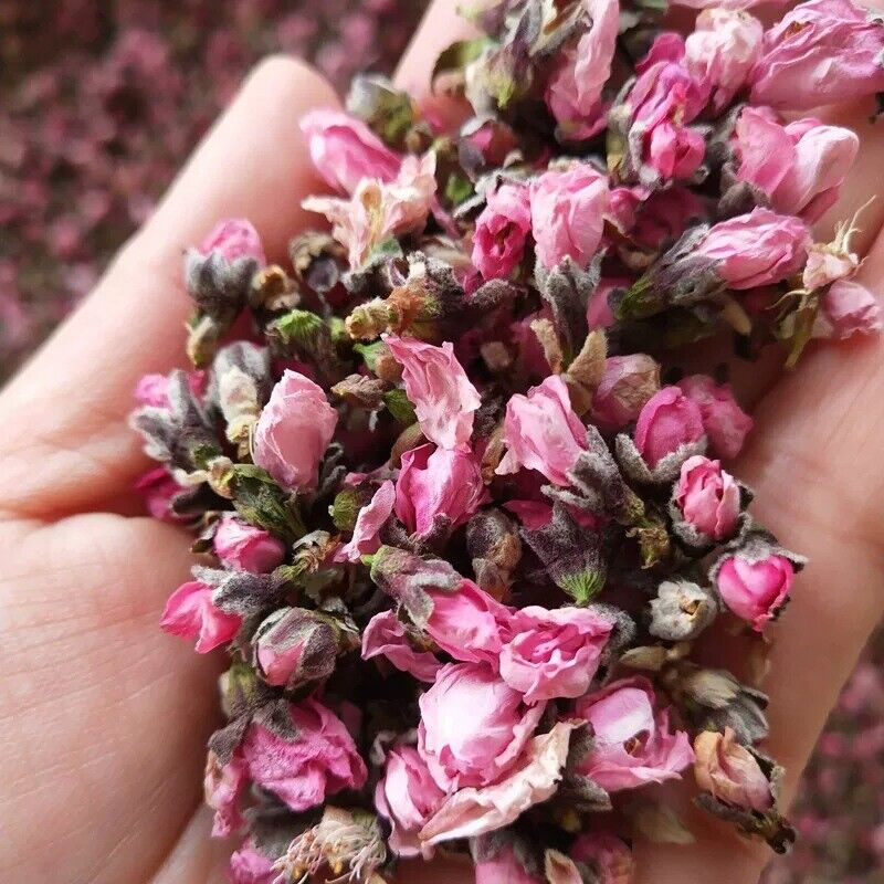 Wholesale peach blossom / dried peach blossom origin direct sales 500g/12.59oz
