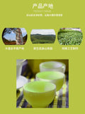 2025 Premium Bi Luo Chun Green Tea 100g Ecological High Mountain Sweet Aroma