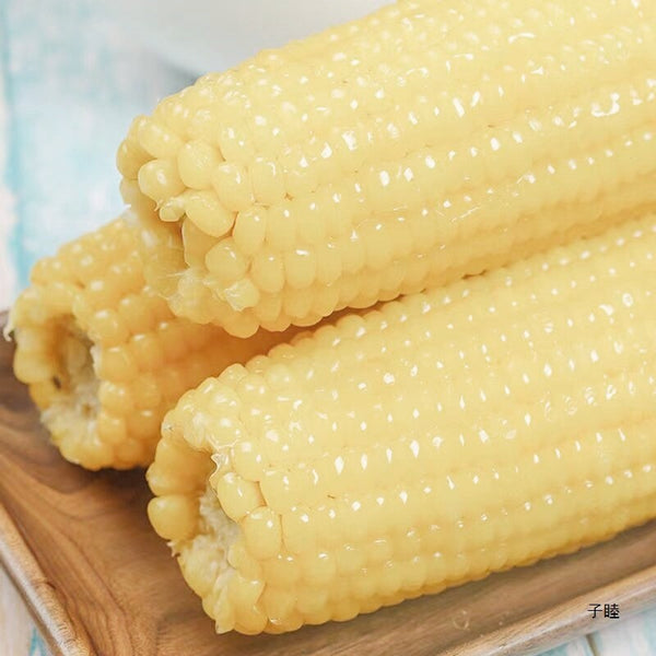 White sweet glutinous corn, fresh sticky corn cob, corn cob, low-fat fast food