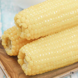 White sweet glutinous corn, fresh sticky corn cob, corn cob, low-fat fast food