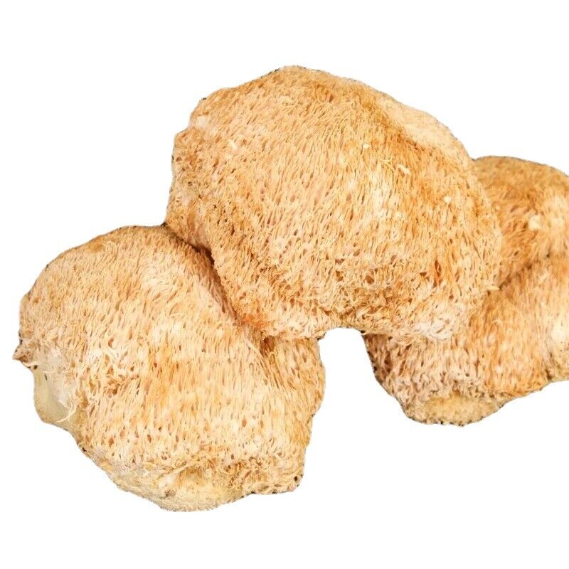 100% Organic 500g Dried Lion's Mane Mushroom Chinese Herbs Tea Main image