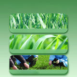 HELLOYOUNG Organic Barley Grass Powder 1kg - Daily Nutrient Booster