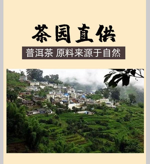 357g Pu-erh Raw Tea Icelandic Old Cottage Pu-erh Tea Zodiac Pu-erh Tea Cake