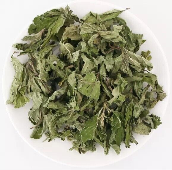 Mint Leaves Dried Peppermint Tea Herbal Pure Peppermint Natural Tea 500g/1.1LB