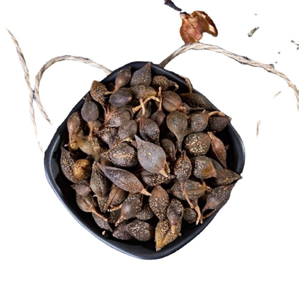 100% natural dried herb Poria Lian Qiao Fructus Forsythiae aromatic Chinese herb Secondary image