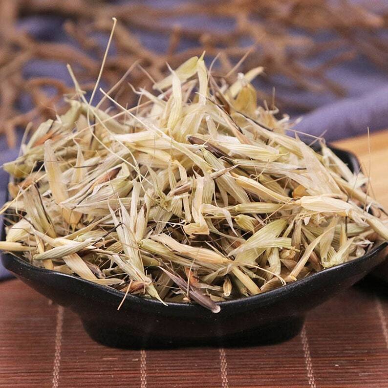 Avena Fatua Yan Mai Cao Premium Organic Herbal Grande Qualité Main image