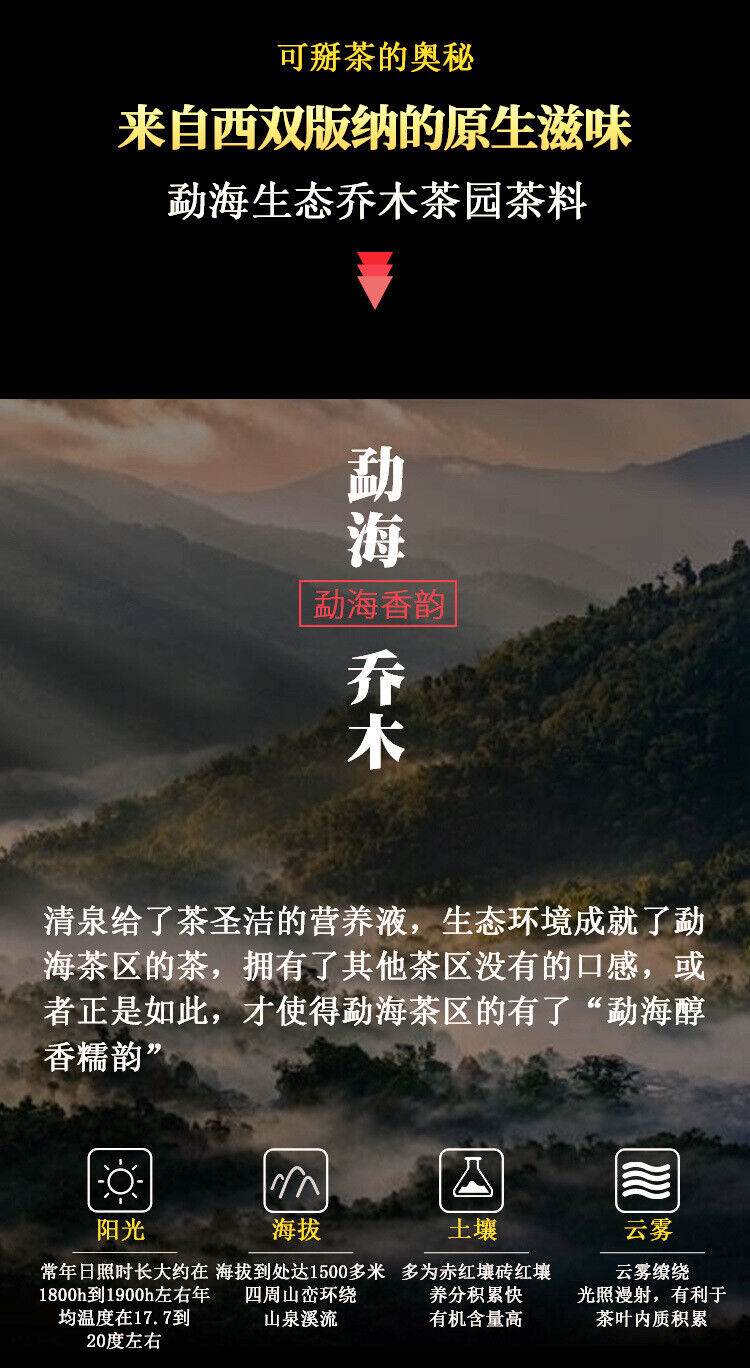 200g Yunnan Menghai Large Tree Dry Storage Hand Brewed Tea Ripe Tea Brick