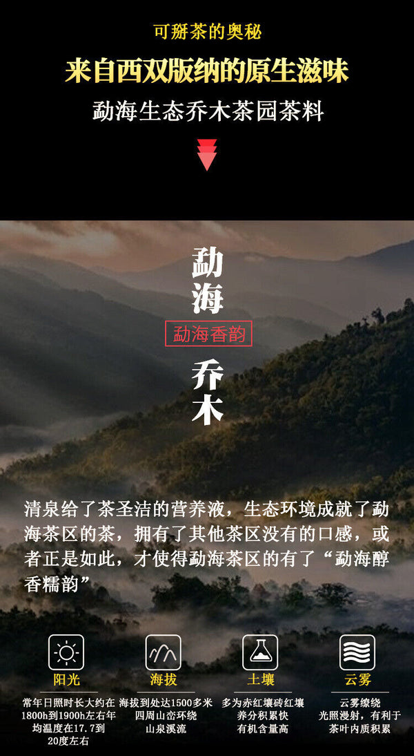 200g Yunnan Menghai Large Tree Dry Storage Hand Brewed Tea Ripe Tea Brick