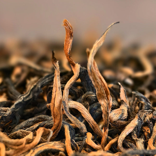 Yunnan Fengqing Dianhong Ancient Tree Black Tea Loose Leaf Mini Can Gift Box