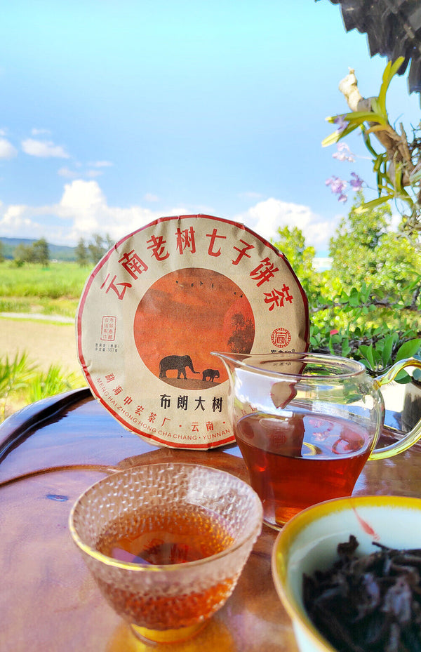 Puerh Ripe Tea Brown Mountain Ripe Tea Yunnan Seven Seed Cake Menghai Pu'er