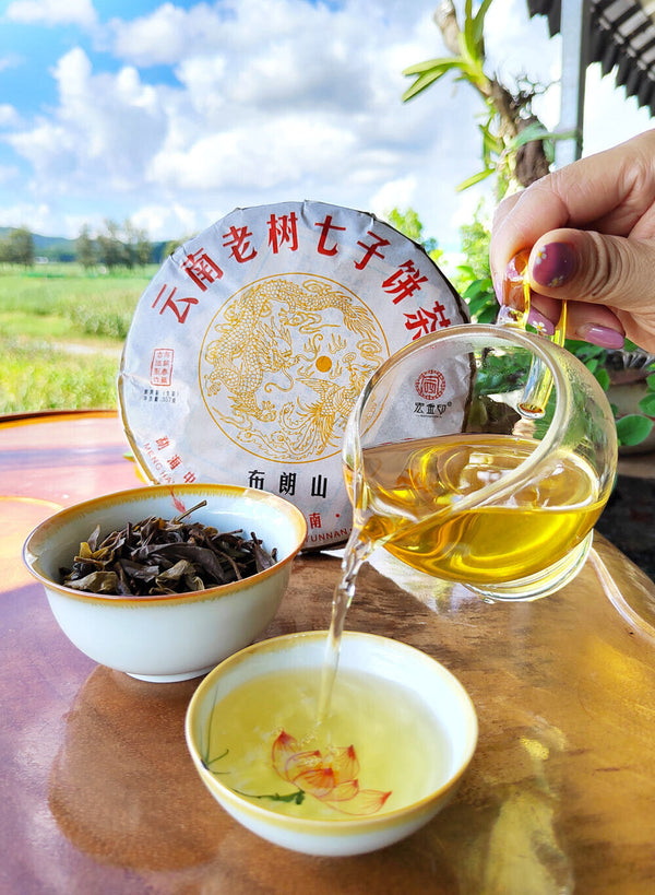 Yunnan Menghai Pu'er Tea Brown Mountain Early Spring Arbor Pu'er Raw Tea Cake