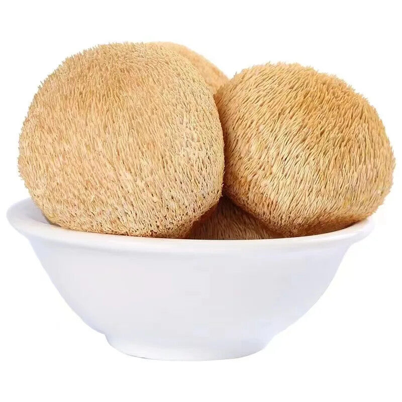 100% Organic Natural Lions Mane Mushroom 250g Hericium Erinaceus Hou Tou Gu 猴头菇 Secondary image